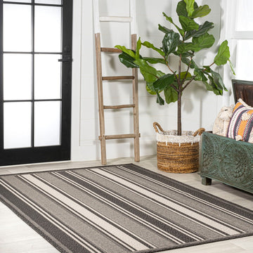 Haynes Modern Double Stripe Indoor/outdoor Area Rug